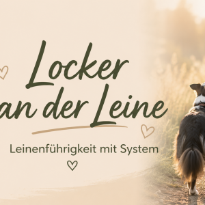 Locker an der Leine - Leinenführigkeit mit System