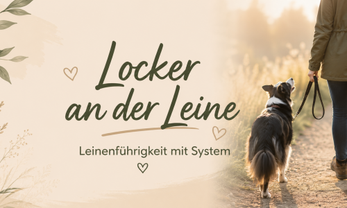 Kursvorschaubild