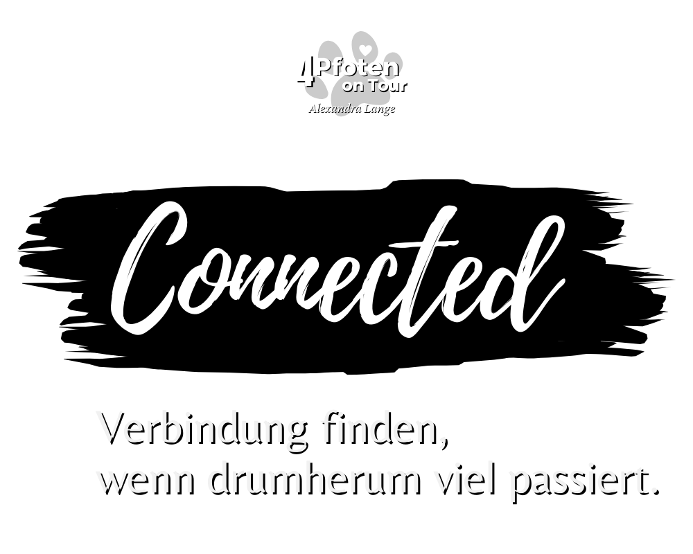 Hundetraining Baunatal Schauenburg Welpen Junghunde Hundetraining Baunatal Schauenburg Welpen Junghunde