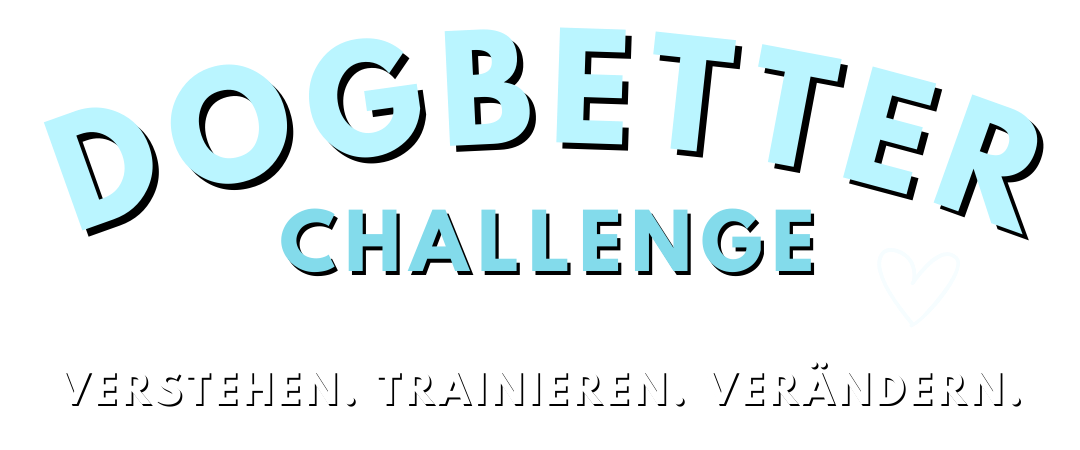 Dogbetter Challenge - Dein Hundetraining verbessern