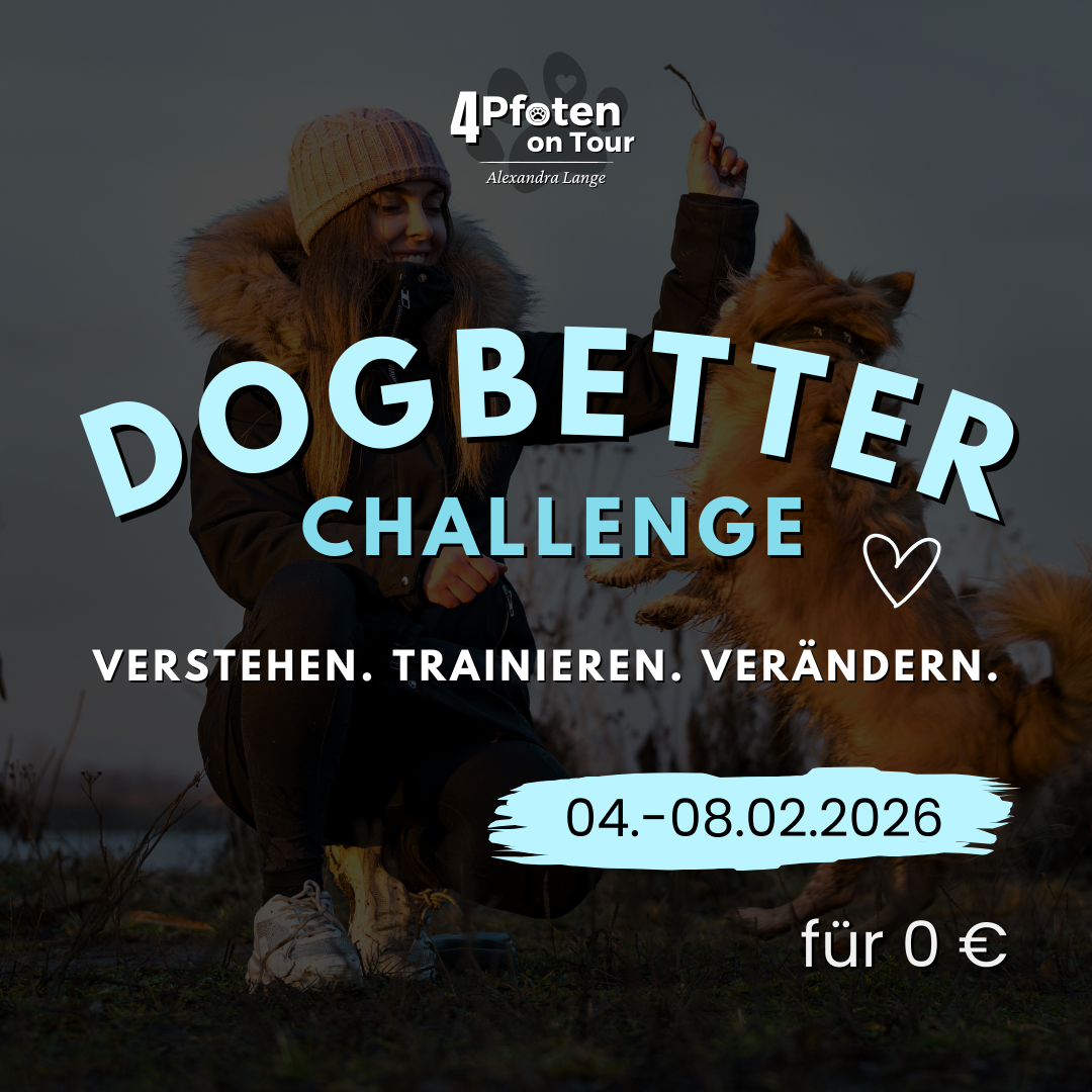 Dogbetter Challenge
