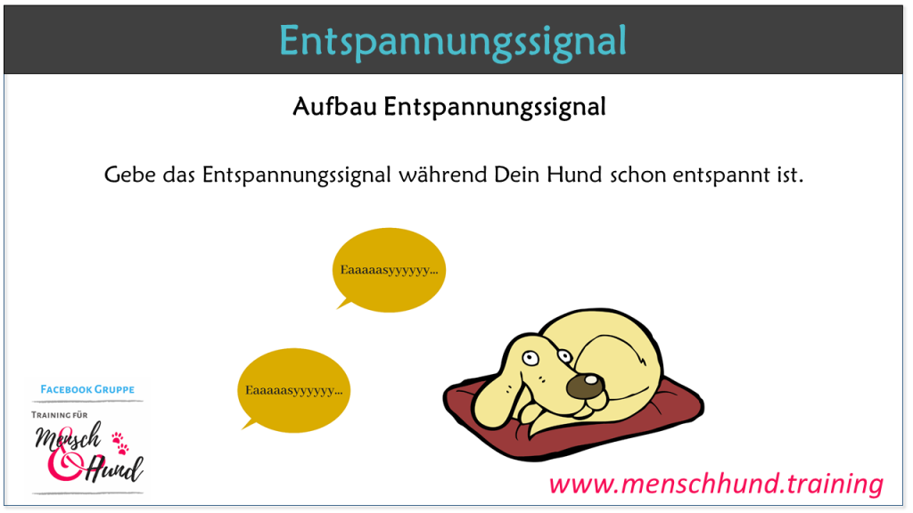 Entspannungssignal Hund aufbauen - Konditionierte Entsoannung