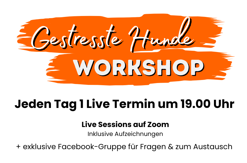 Gestresste Hunde Workshop - Für mehr Entspannung und Leichtigkeit mit Deinem Hund