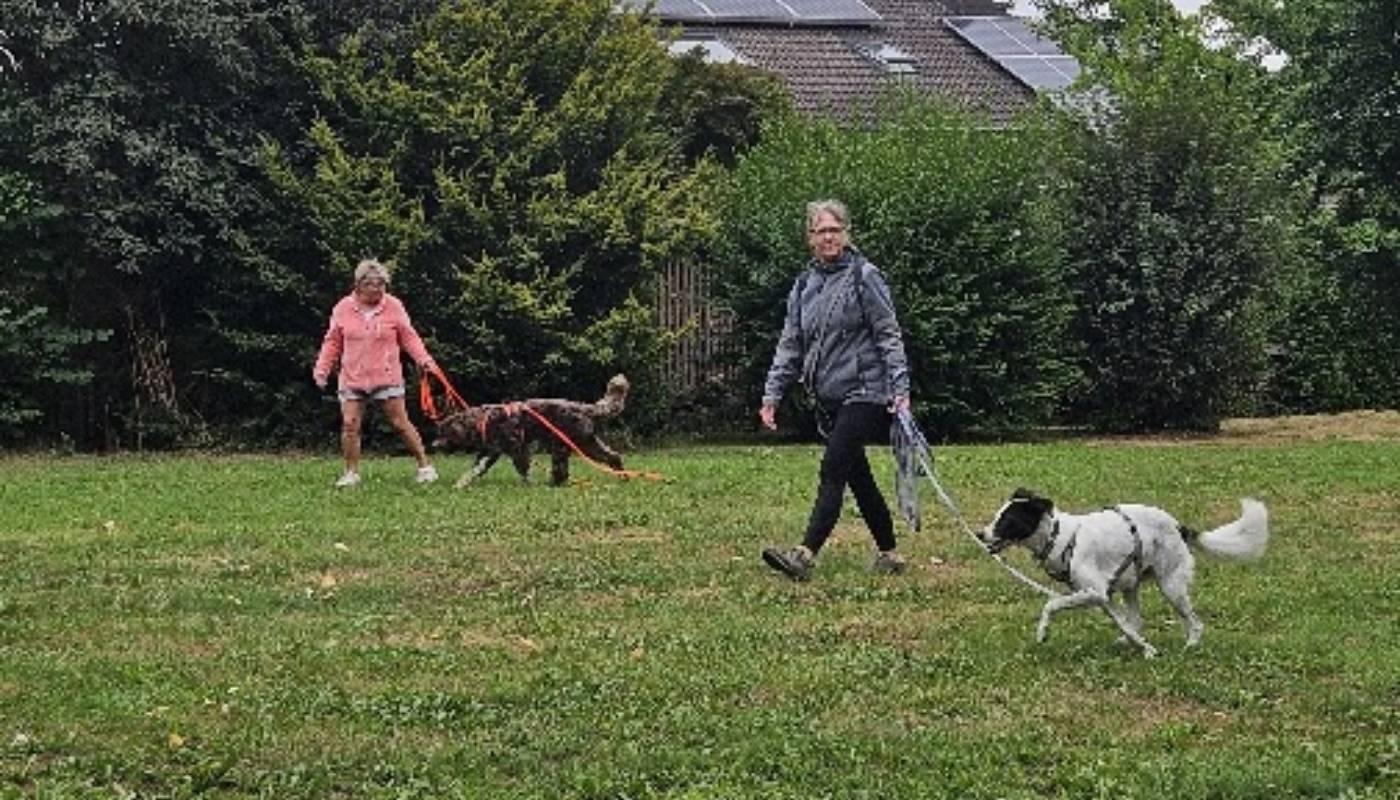 Hundetraining für den Alltag in Baunatal Kreis Kassel
