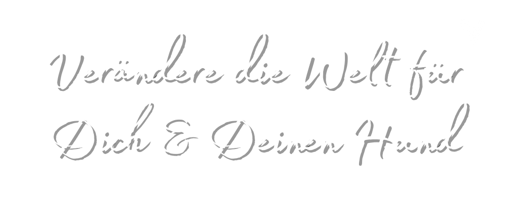 Overloaded - Das Anti-Stress-Programm für ängstliche & gestresste Hunde Overloaded - Das Anti-Stress-Programm für ängstliche & gestresste Hunde