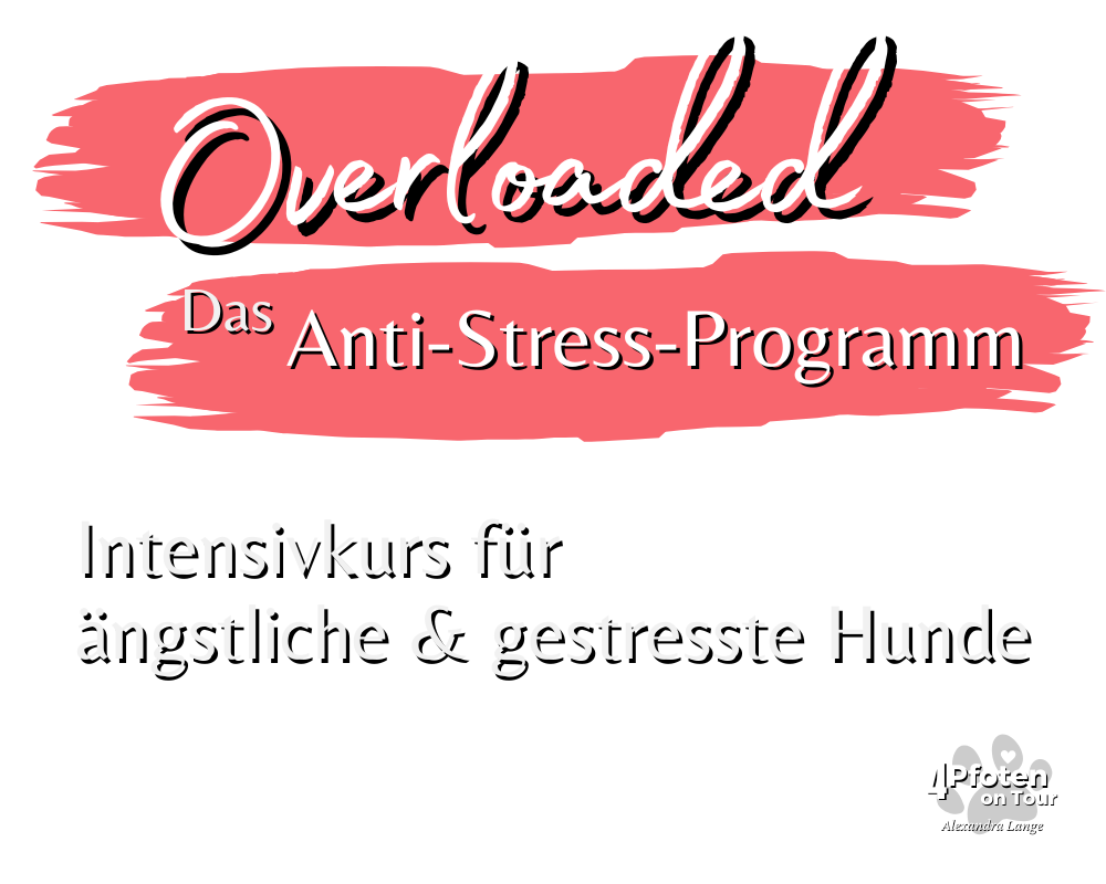 Overloaded - Das Anti-Stress-Programm für ängstliche & gestresste Hunde Overloaded - Das Anti-Stress-Programm für ängstliche & gestresste Hunde