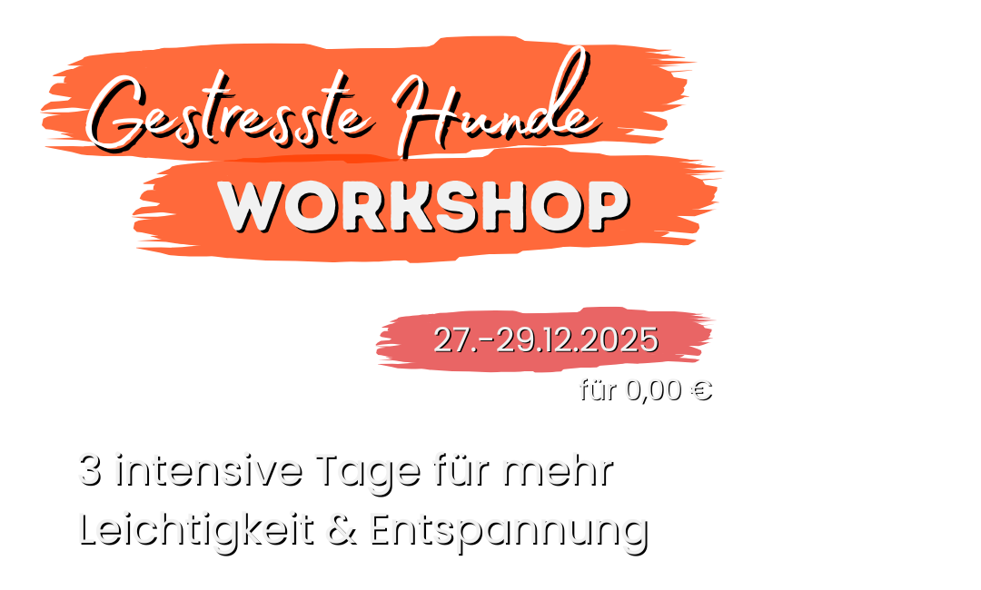 Gestresste Hunde Workshop