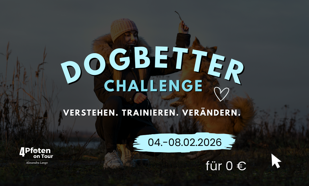 Dogbetter Challenge - 4Pfoten on Tour