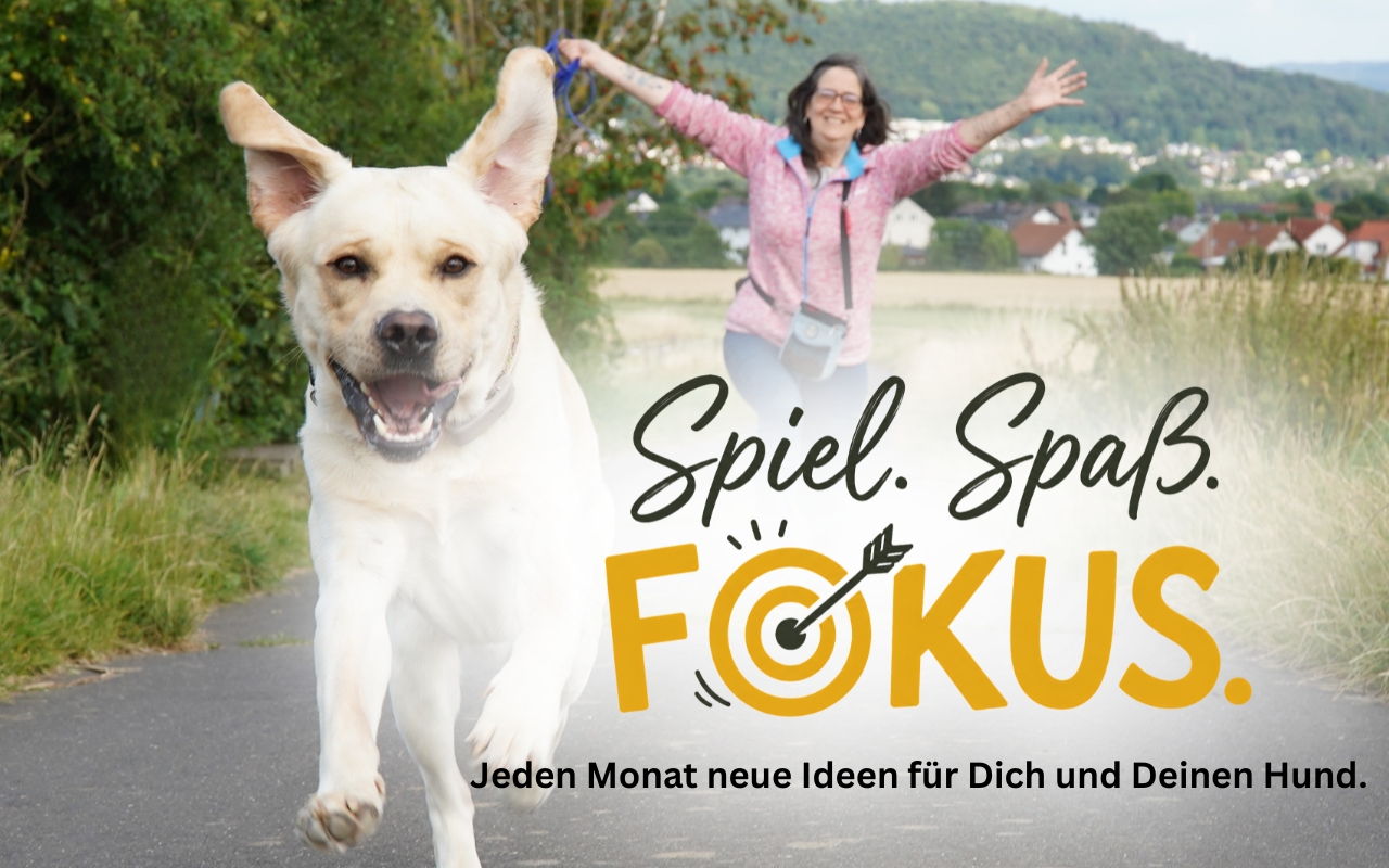 Spiel. Spaß. Fokus.