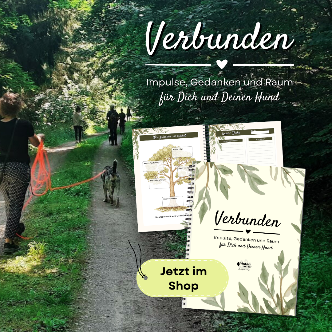 Verbunden - 4Pfoten on Tour