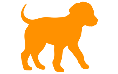 Welpenschule Welpenkurs Schauenburg Baunatal Kassel