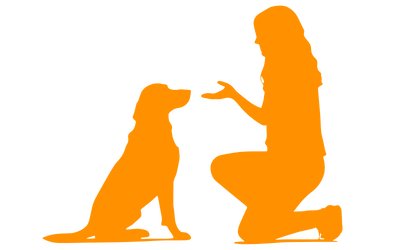 Einzelcoaching Einzelstunden Hundeschule Schauenburg Baunatal Kassel