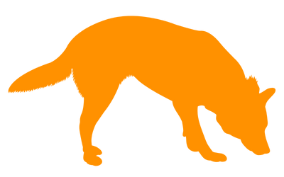 Mantrailing Personensuche - Baunatal Schauenburg Kassel