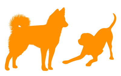 Tipps für entspannte Hundebegegnungen